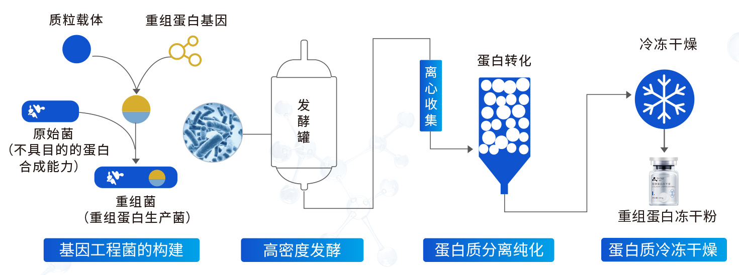 05关于肽源-科研生产实力_23